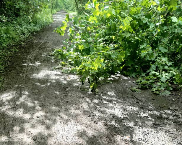 The council is planning to resurface the Harland Way walking and cycling route between Spofforth and Wetherby