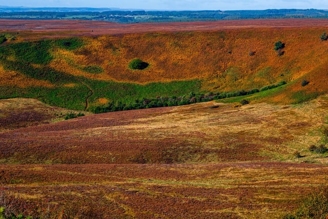 The changing colours of Autumn seen across the huge natural amphitheatre, of the Hole of Horcum, also known as a ‘Devil’s Punchbowl’ situated in the heart of the North York Moors at 400 feet (120 m) deep and about ae mile (1.2 km) across. At this of the year the moorland heather it slowly loosing it's strong purple colour.