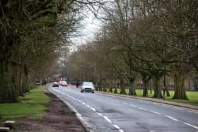North Yorkshire County Council is consulting on its Active Travel schemes, including the Oatlands Drive area. (Picture Gerard Binks)