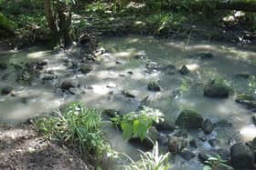 Record £1 million payout by Yorkshire Water - In 2016 the Environment Agency received a report of pollution in Harrogate’s Hookstone Beck. (Picture contributed)