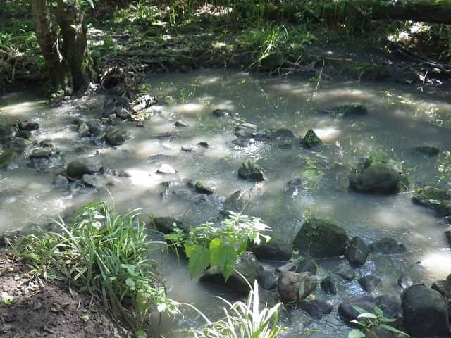 Record £1 million payout by Yorkshire Water - In 2016 the Environment Agency received a report of pollution in Harrogate’s Hookstone Beck. (Picture contributed)