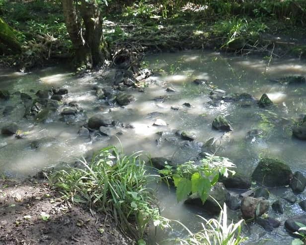 Record £1 million payout by Yorkshire Water - In 2016 the Environment Agency received a report of pollution in Harrogate’s Hookstone Beck. (Picture contributed)