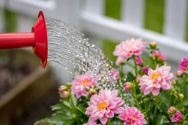 Yorkshire Water reveals nine tips for saving water following the announcement of a hosepipe ban from August 26