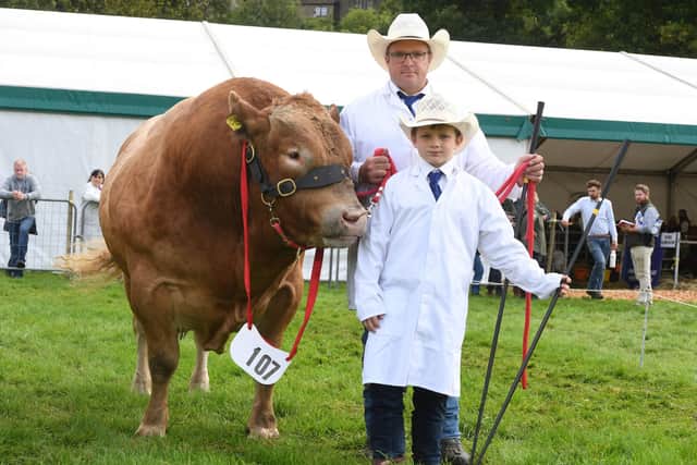 Pictured: Thor Atkinson and his son nine year old sone Frankie Atkinson with their prize winning British Blonde called Plato.
