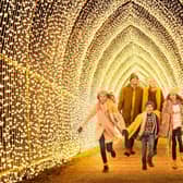 Tunnel of Light by Mandylights. Photo by Richard Haughton