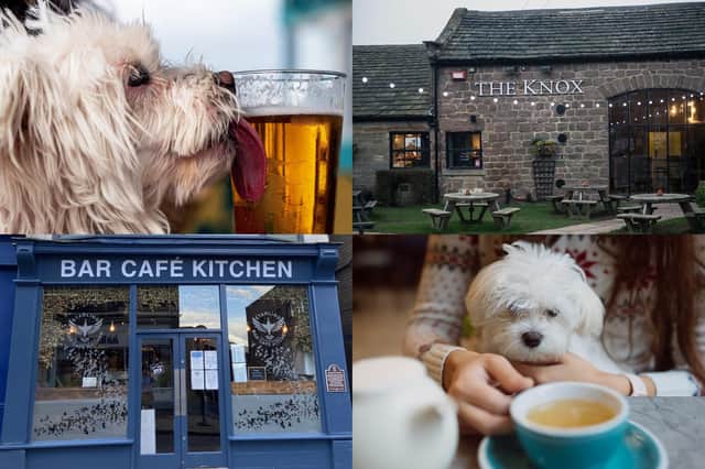 We take a look at 15 of the best dog friendly cafes and pubs to visit in the Harrogate district - as chosen by Harrogate Advertiser readers