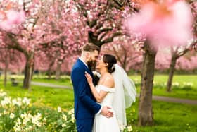 Wedding photos in the Harrogate blossom at The Stray with North Yorkshire photographer. Beautiful pink cherry blossom wedding photography.