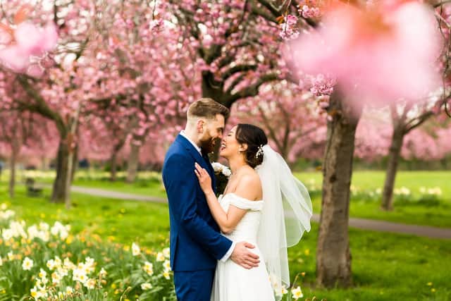 Wedding photos in the Harrogate blossom at The Stray with North Yorkshire photographer. Beautiful pink cherry blossom wedding photography.
