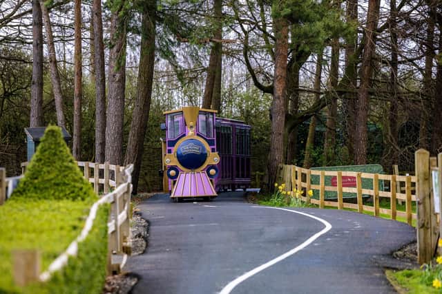 Hop aboard Stockeld Park's very own Flying Stocksman train for a tour round Enchanted Forest.(Picture contributed)