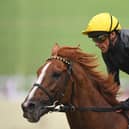 Stradivarius will be in action at York's Ebor Festival later this week. Picture: Getty Images