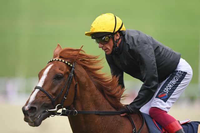 Stradivarius will be in action at York's Ebor Festival later this week. Picture: Getty Images