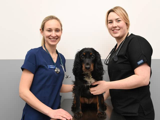 Claro Hill Vets is a brand new, independent and family run Harrogate vets practice - Owner Laura Keyser, left, with her veterinary surgeon Kathryn Sowray and Patsy the dog. (Picture Gerard Binks)