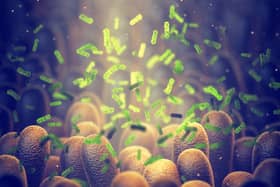 The gut microbes can have an effect on organs throughout the body. Photo: AdobeStock