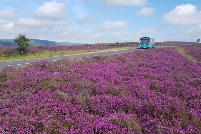 An additional £50,000 has been committed to both the Moorsbus and DalesBus