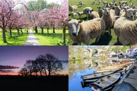 We take a look at 15 fantastic photos from across the district sent in by Harrogate Advertiser readers