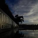Newbury Racecourse host the Coral Gold Cup this weekend. Picture: Alan Crowhurst/Getty Images