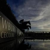Newbury Racecourse host the Coral Gold Cup this weekend. Picture: Alan Crowhurst/Getty Images