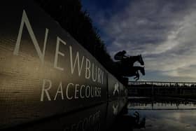 Newbury Racecourse host the Coral Gold Cup this weekend. Picture: Alan Crowhurst/Getty Images