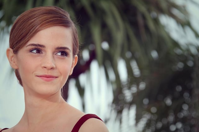 In 2008, the Harry Potter star received straight As in English literature, geography and art (Photo: Shutterstock)