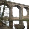 The Nidd at Nidd Gorge near Bilton in Harrogate. An all-party campaign is now attempting to gain Bathing Water Status for the river.