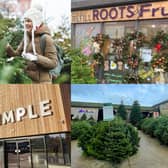 We take a look at 15 of the best places in the Harrogate district where you can buy a real Christmas tree