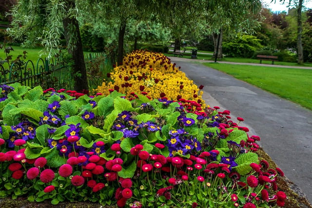 The Valley Gardens is a beautiful park in Low Harrogate, perfect for a relaxed stroll or for a family day out. It is an English Heritage Grade II Listed Garden covering 17 acres of park-land, themed gardens, floral displays, historic buildings and leisure activities.