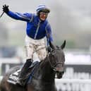 Paul Townend celebrates aboard Energumene after winning the Queen Mother Champion Chase race during day two of Cheltenham Festival 2022. Picture: Mike Hewitt/Getty Images