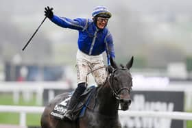 Paul Townend celebrates aboard Energumene after winning the Queen Mother Champion Chase race during day two of Cheltenham Festival 2022. Picture: Mike Hewitt/Getty Images
