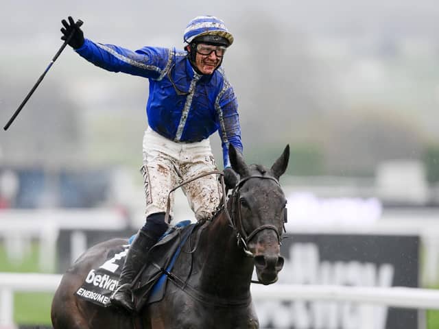 Paul Townend celebrates aboard Energumene after winning the Queen Mother Champion Chase race during day two of Cheltenham Festival 2022. Picture: Mike Hewitt/Getty Images