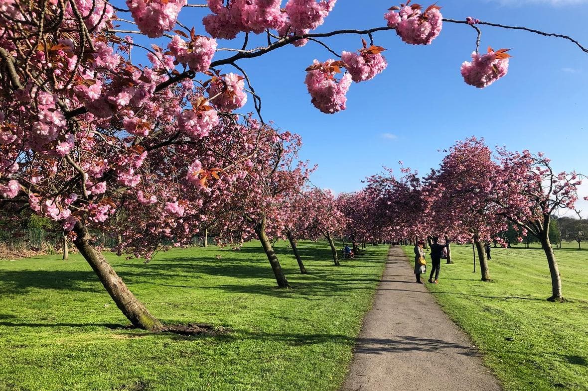 Sun in Yorkshire: Will it be sunny over spring bank holiday weekend? Weather forecast for Leeds, York, Sheffield, Bradford, Harrogate, Hull and the Yorkshire Coast