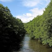 A woman's body has been pulled from the River Nidd