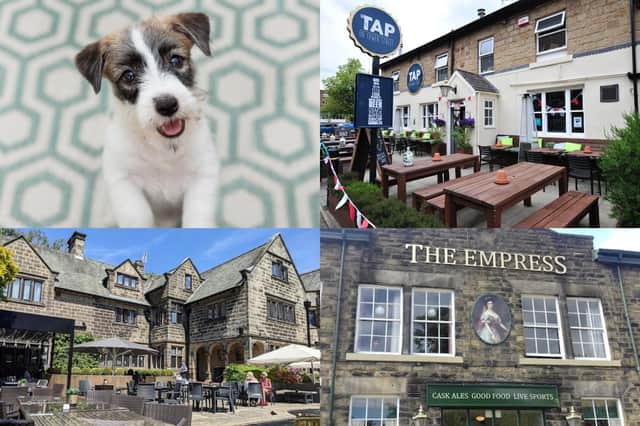 We reveal nine of the best dog friendly pubs to visit in Harrogate