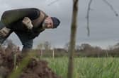 Flashback to March 2023 - The first celebration trees are planted in the ground at Long Lands Common in Harrogate. (Picture contributed)