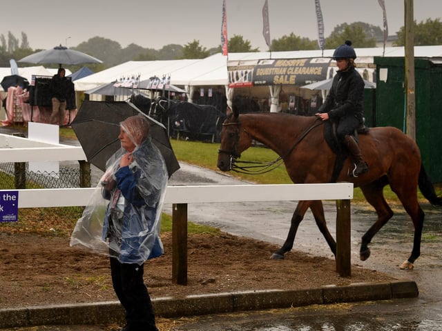 Members of the public shelter from the rain at the show