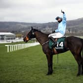 The Shunter is highly regarded by Jeff Garlick. Picture: Tim Goode-Pool/Getty Images