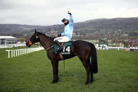 The Shunter is highly regarded by Jeff Garlick. Picture: Tim Goode-Pool/Getty Images