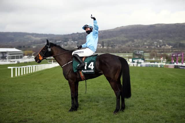 The Shunter is highly regarded by Jeff Garlick. Picture: Tim Goode-Pool/Getty Images