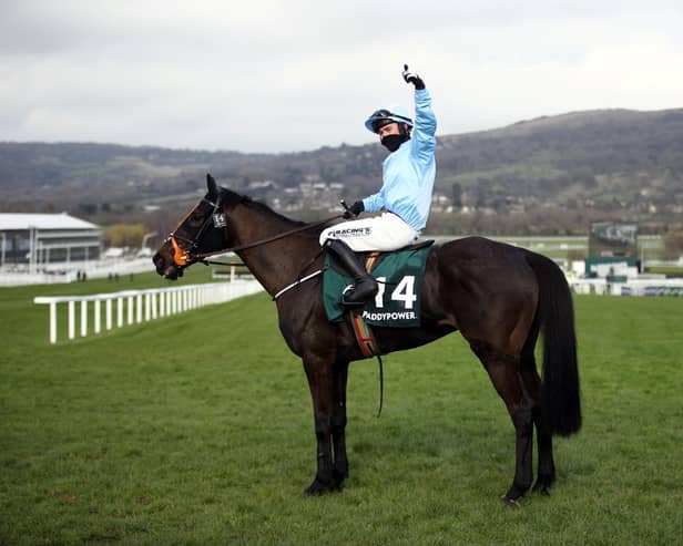 The Shunter is highly regarded by Jeff Garlick. Picture: Tim Goode-Pool/Getty Images