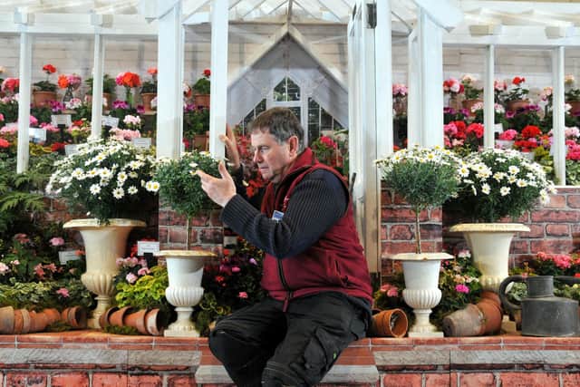 An exhibitor checks his display at Harrogate Spring Flower Show 2025. (Picture contributed)