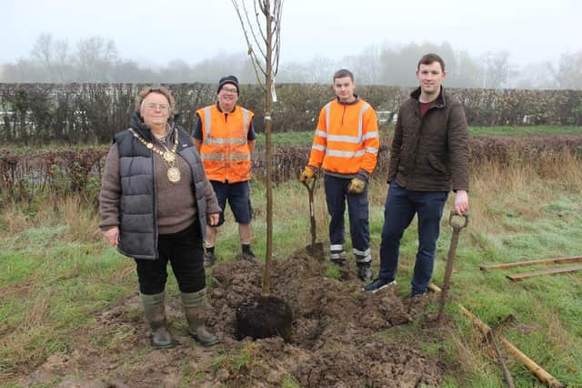 National Tree Planting Week - Harrogate Borough Mayor Councillor Victoria Oldham and Coun Sam Gibbs with members of the parks team at Harrogate Borough Council.