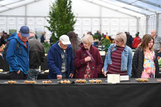 Visitors viewing the prize winning carrots on display at the show