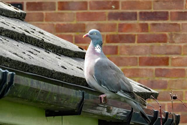 Guttering
