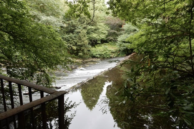 Enjoy this 9.3-km loop trail near Greenhow Hill, North Yorkshire. Generally considered a moderately challenging route, it takes an average of 2 h 18 min to complete. This is a very popular area for birding, camping, and hiking. The trail is open year-round.