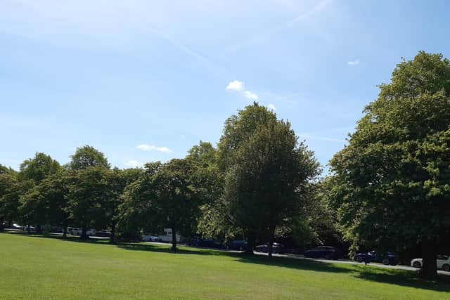 Concern over the Stray in Harrogate - A Harrogate resident said: "More van residents have been parking on Stray Rein since the Covid pandemic ended and overnight stays have increased." (Picture contributed)