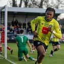 Sam Folarin begins his celebrations after firing Harrogate Town into an early lead against Walsall at the EnviroVent Stadium. Picture: Harrogate Town AFC