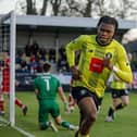 Sam Folarin begins his celebrations after firing Harrogate Town into an early lead against Walsall at the EnviroVent Stadium. Picture: Harrogate Town AFC