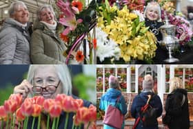 We take a look at 21 photos from a blooming brilliant weekend at the Harrogate Spring Flower Show 2024