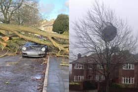 The Harrogate district has been battered by Storm Otto causing major disruption across the region