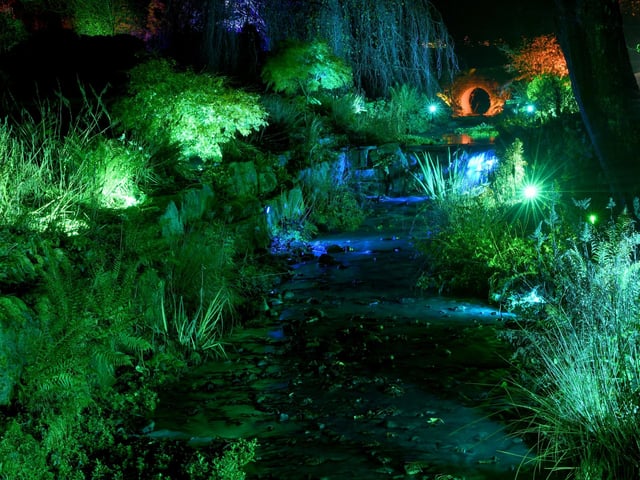Winter illuminations have returned to RHS Harlow Carr.