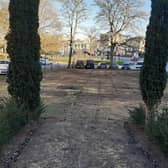 There's concern over grass at Crescent Gardens in Harrogate which is now looking brown and scruffy. (Picture contributed)